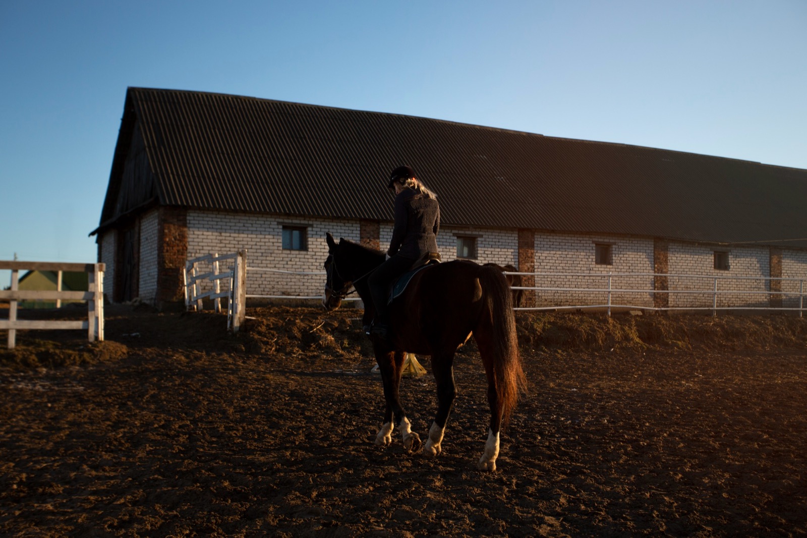 Stable yard at sunrise